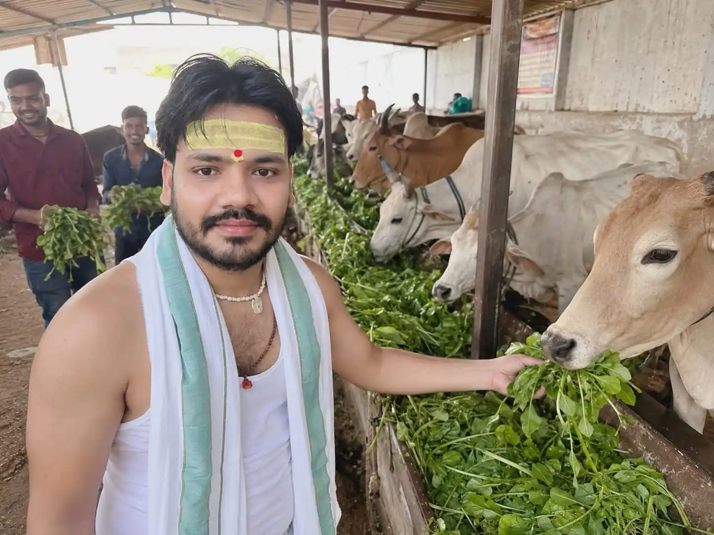 Go Seva